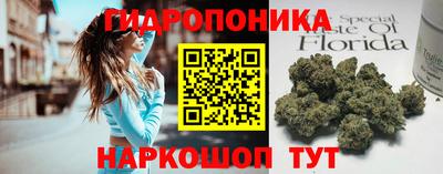 индика Краснокаменск