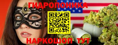 индика Краснокаменск