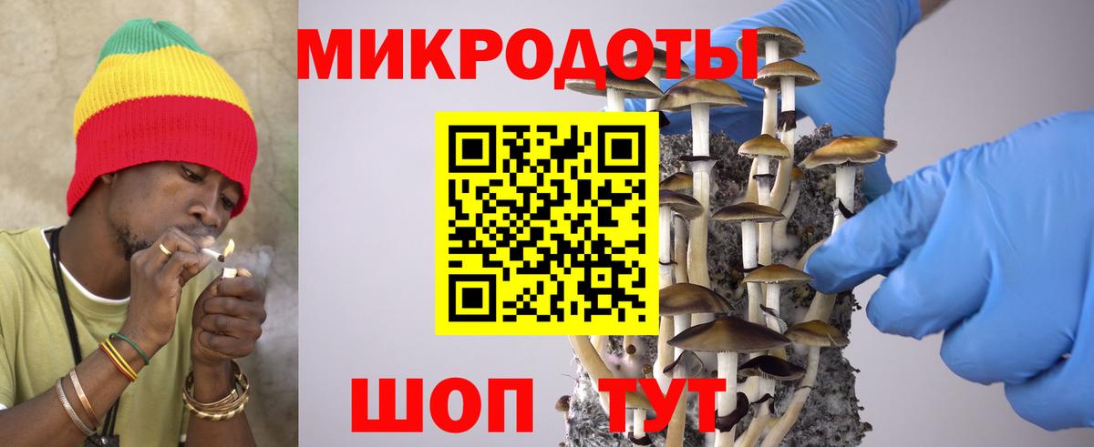Псилоцибиновые грибы Psilocybe  Вход с VPN  Заволжье 
